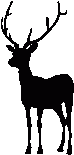 image d'un cerf image d'un cerf