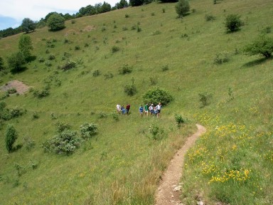randonnée très sportive, Vosges, 2003 randonnée très sportive avec joëlette, Vosges, 2003
