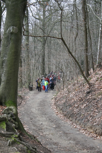 Randonnée sportive avec joëlettes, Louvain-la-Neuve, 2011