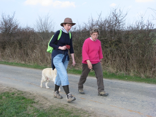 Randonnée sportive avec joëlettes, Bure, 2011