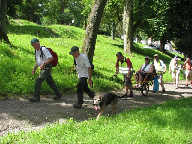 randonnée sportive avec joëlettes, Namur, 2012