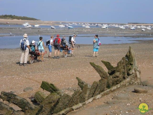 randonnée avec joëlettes,Cabourg, 2013