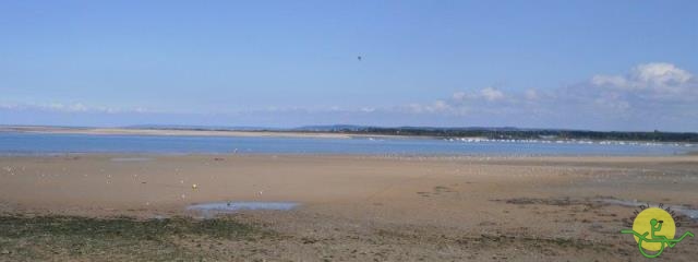 randonnée  avec joëlettes, Cabourg, 2013