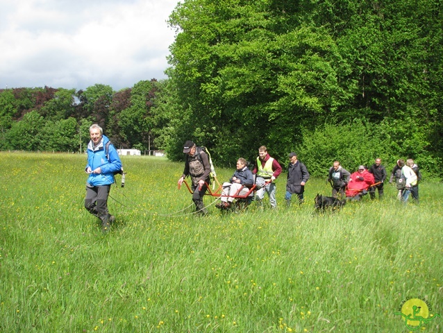 Tilff, 11 mai 2014 randonnée sportive avec joëlettes, Tilff, 2014