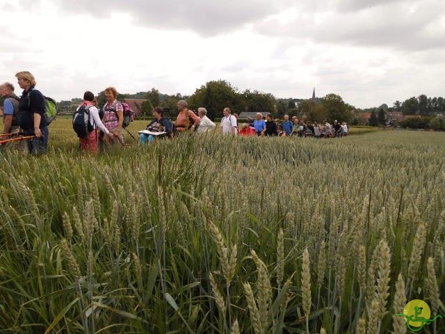 randonnée sportive avec joëlettes, Gaasbeek, 2014