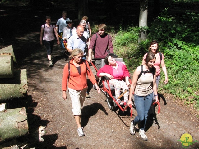 randonnée sportive avec joëlettes, Havré, 2014