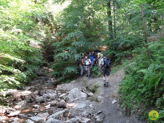 randonnée sportive avec joëlettes, le Ninglinspo, 2014
