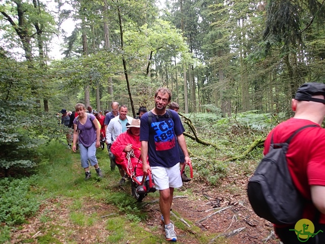 randonnée sportive avec joëlettes, Habay, 2014
