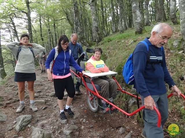 Randonnée avec joëlettes, Vosges, 2014