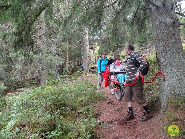 Randonnée avec joëlettes, Vosges, 2014