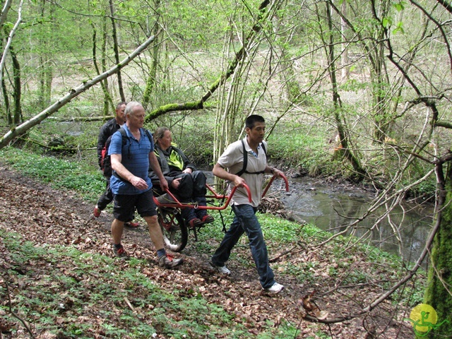 Randonnée joëlettes à Chevetogne