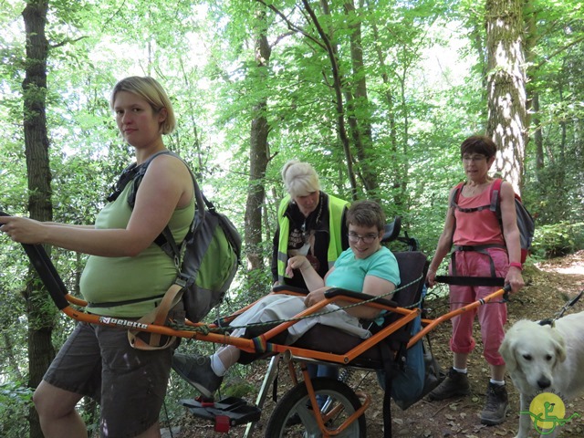 Randonnée joëlettes à Thuin