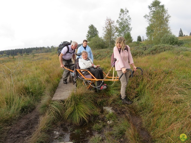 Randonnée joëlettes, Fagnes 2015