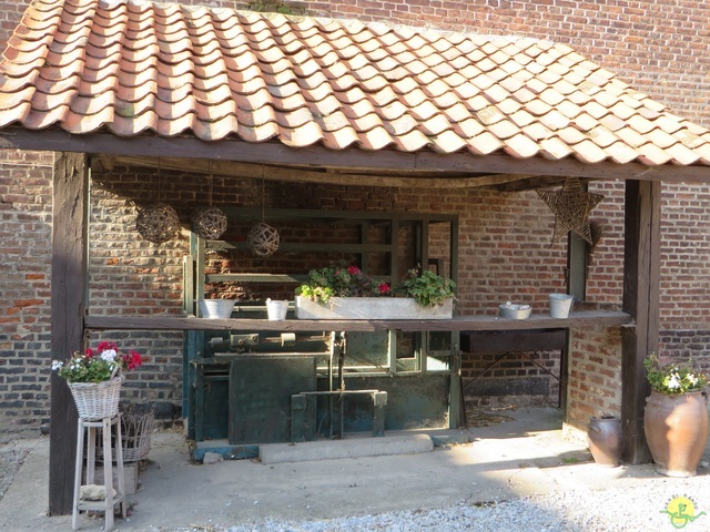 Randonnée joëlettes à Hollogne