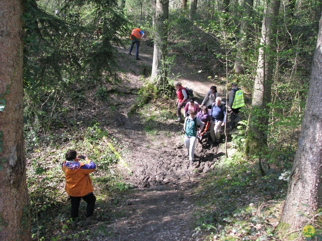 Randonnée joëlettes à Cerfontaine