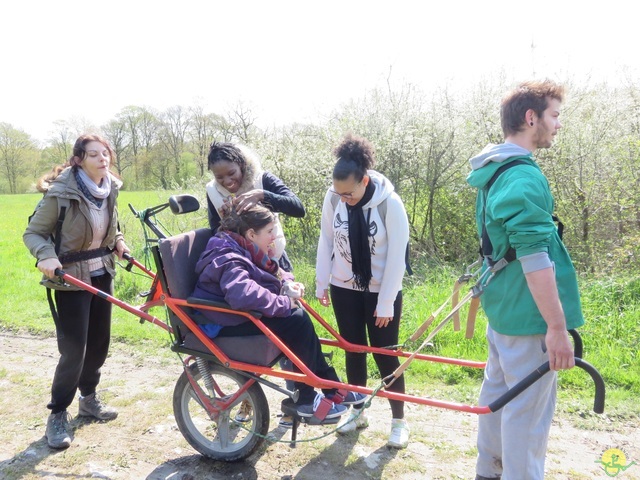 Randonnée joëlettes à Cerfontaine