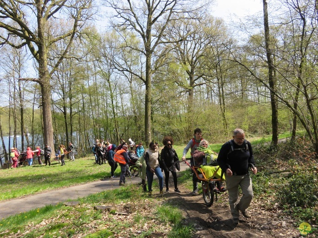 Randonnée joëlettes à Cerfontaine