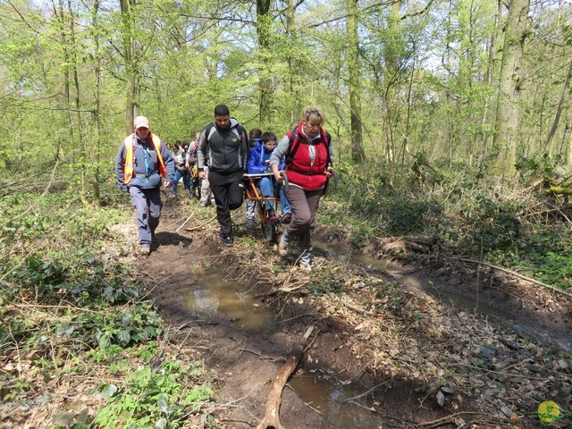 Randonnée joëlettes à Cerfontaine