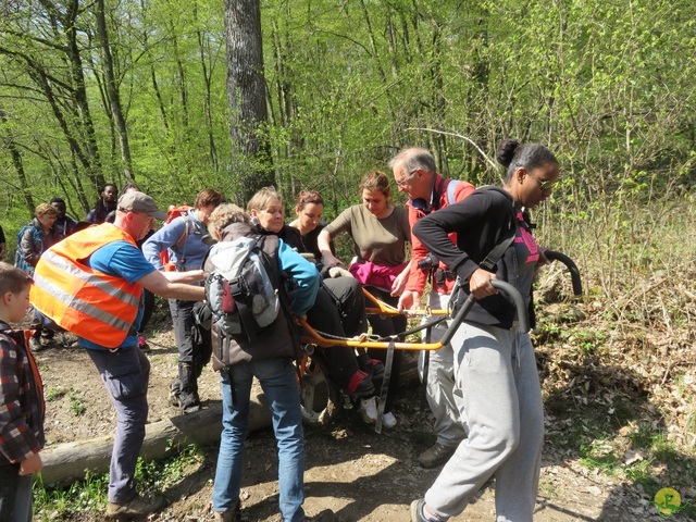 Randonnée joëlettes à Cerfontaine