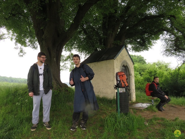 Randonnée joëlettes à Strud