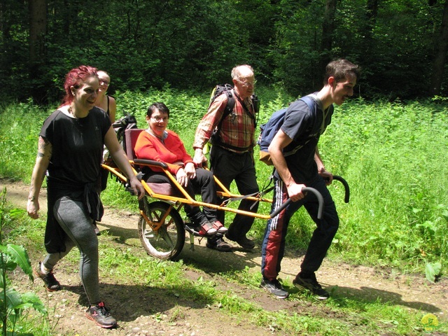 Randonnée joëlettes à Chassepierre