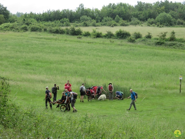 Randonnée joëlettes à Lanaye