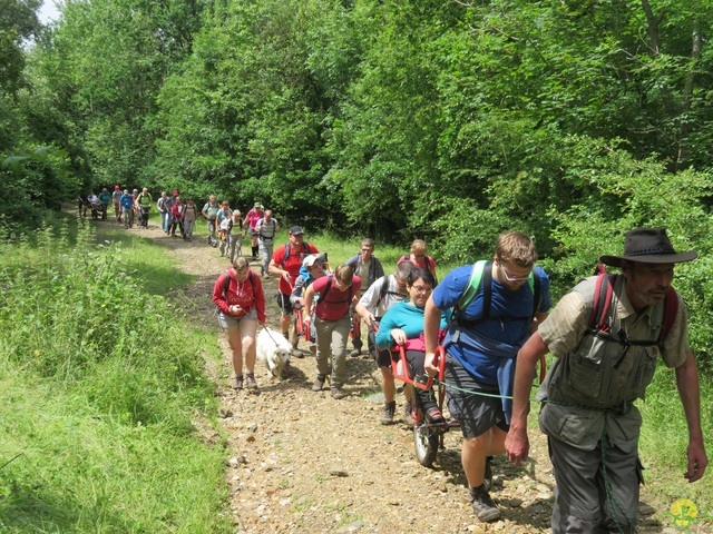 Randonnée joëlettes à Lanaye