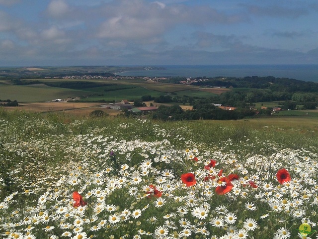 Randonnée joëlettes à Escalles