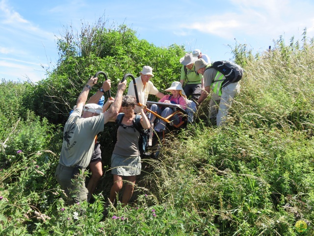 Randonnée joëlettes à Escalles