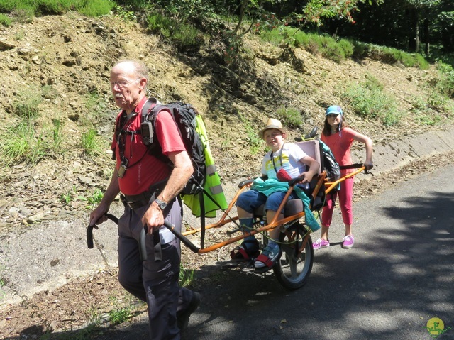 Randonnée joëlettes à La Gileppe