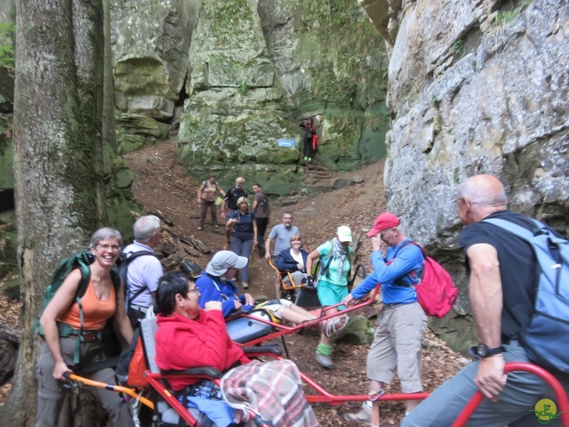 Randonnée joëlettes à Berdorf