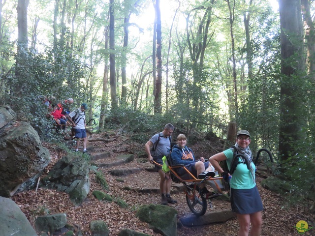 Randonnée joëlettes à Berdorf