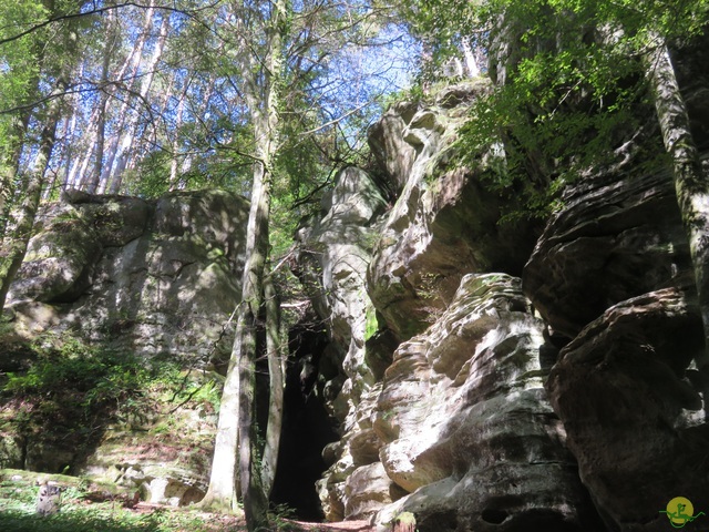 Randonnée joëlettes à Berdorf
