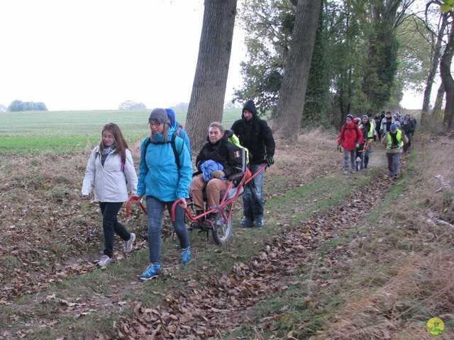 Randonnée joëlettes à Hermalle