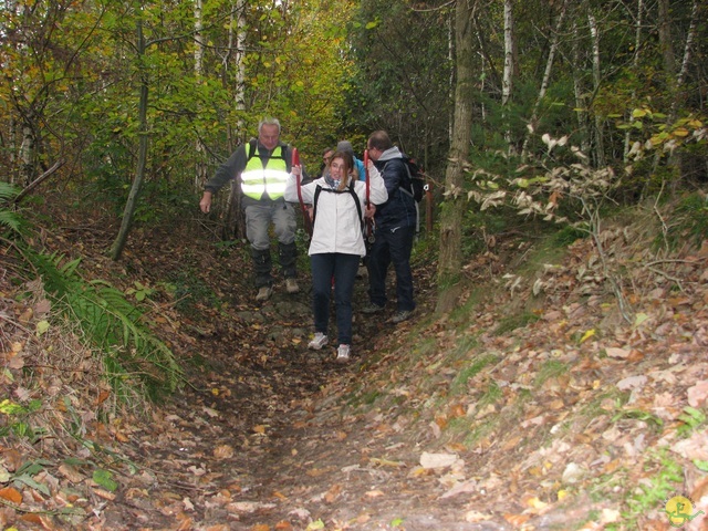 Randonnée joëlettes à Hermalle