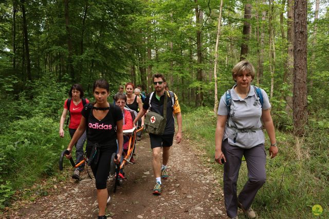 Randonnée joëlettes à Han-sur-Lesse