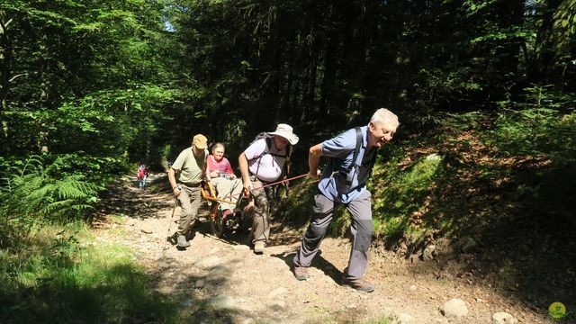 Randonnée joëlettes à Ramonchamp