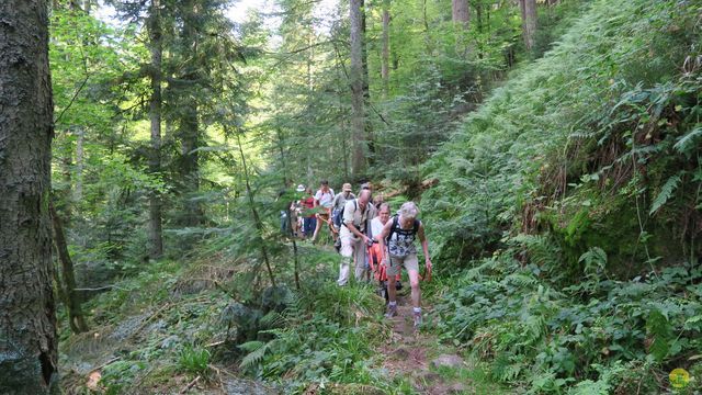 Randonnée joëlettes à Ramonchamp