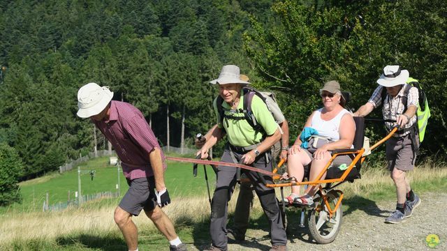Randonnée joëlettes à Ramonchamp