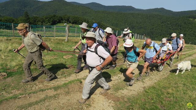 Randonnée joëlettes à Ramonchamp