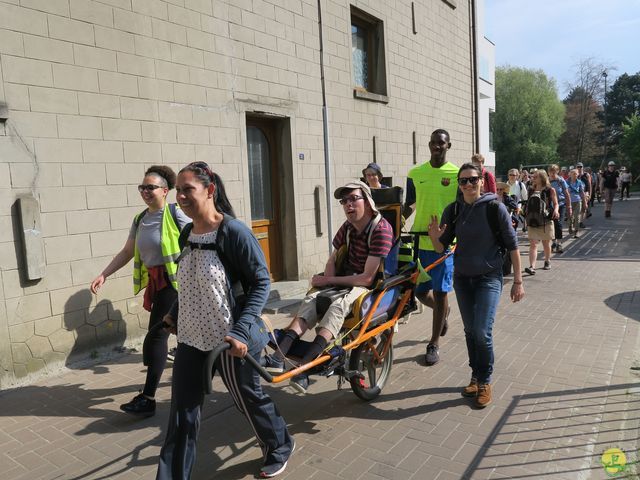 Randonnée joëlettes à Hoeilaart