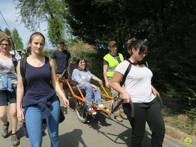 Randonnée joëlettes à Hoeilaart