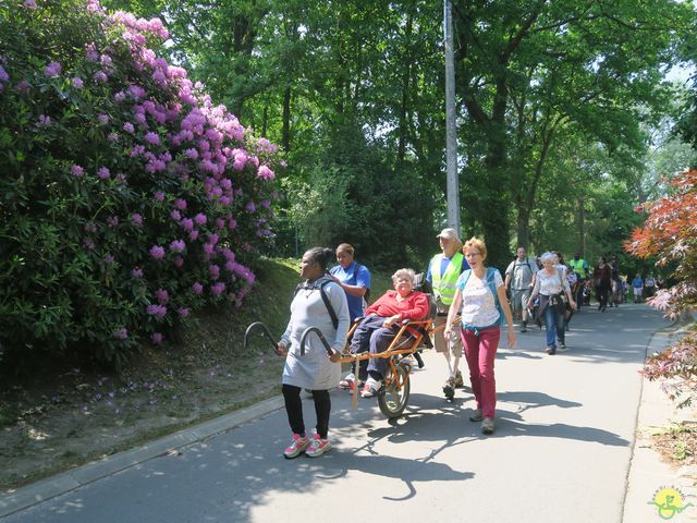 Randonnée joëlettes à Céroux