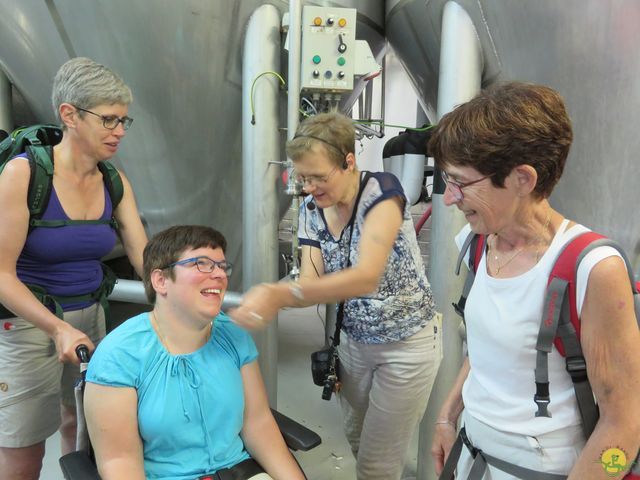 Randonnée joëlettes à Aubel