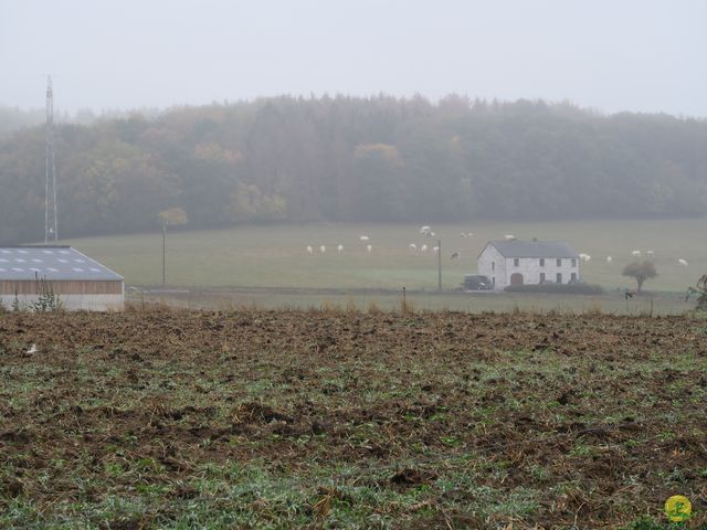 Randonnée joëlettes à Marneffe
