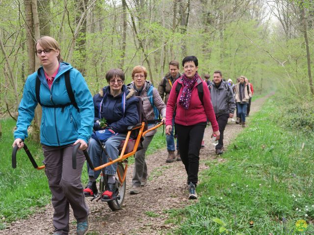 Randonnée joëlettes à Sars-la-Bruyère