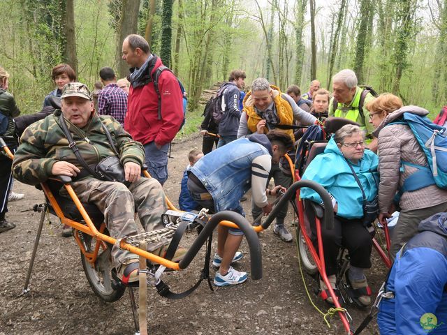 Randonnée joëlettes à Sars-la-Bruyère