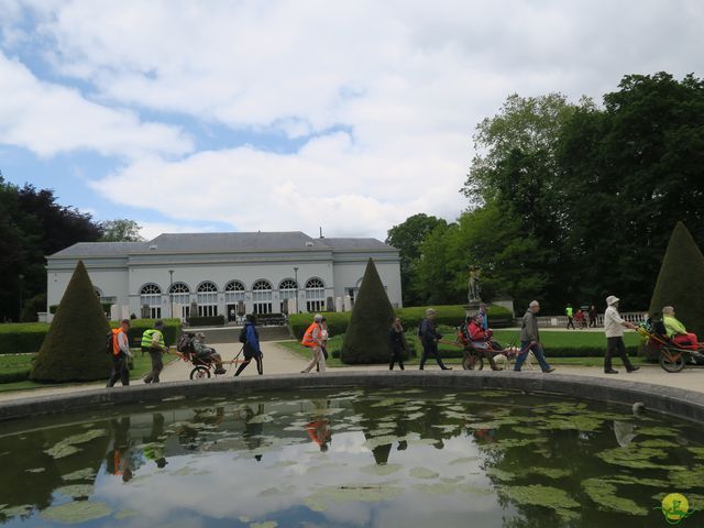 Randonnée joëlettes à Bruxelles