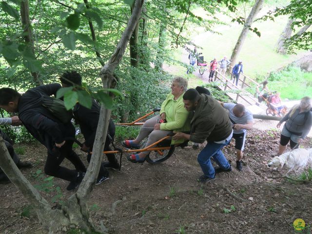 Randonnée joëlettes à Mirwart