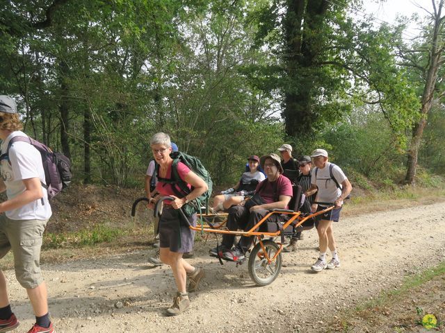 Randonnée joëlettes à Nouan-le-Fuzelier